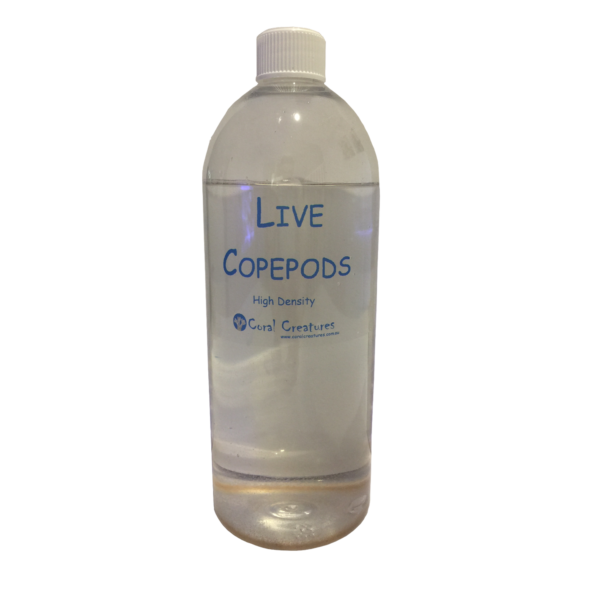 live-pods-hd live-pods-hd